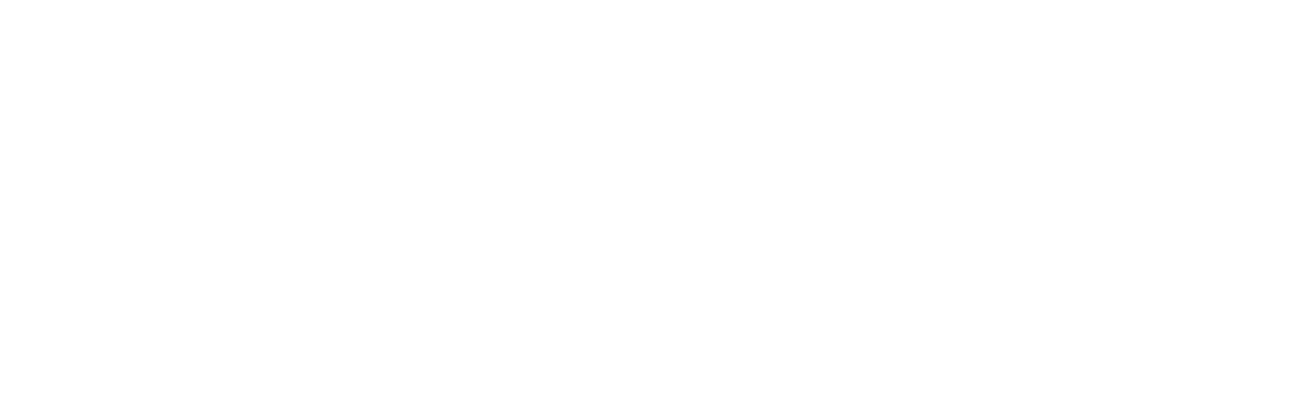 Dassault Systèmes Partner